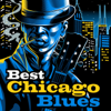 Best Chicago Blues - Various Artists