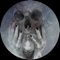 Extra Fine (Rraph Remix) - Diarmaid O Meara & Daniel Munkelberg lyrics