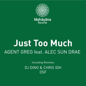 Just Too Much (feat. Alec Sun Drae) - Single