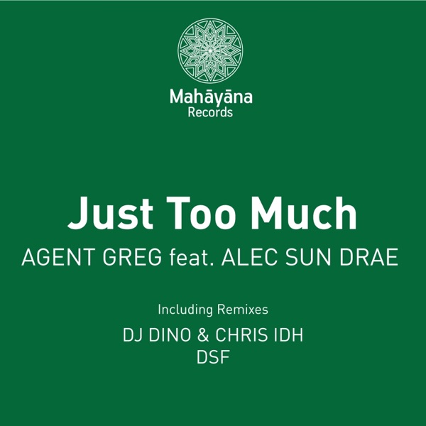Just Too Much (feat. Alec Sun Drae) - Single