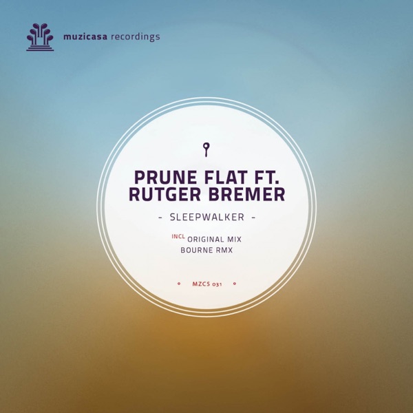Sleepwalker (feat. Rutger Bremer) - Single