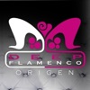 CAMINANDO VOY
