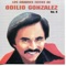 Luz Divina - Odilio González lyrics