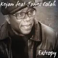 Entropy (Feat:James Colah)