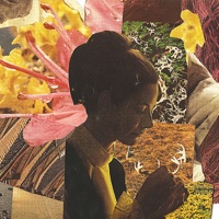 Summer Night Sketch (Botany Remix)