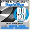 Into Your Soul (Da Brozz Extend. Rmx) - SPYNE, Palmieri & Paps'n'Skar lyrics