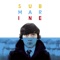 Piledriver Waltz - Alex Turner lyrics