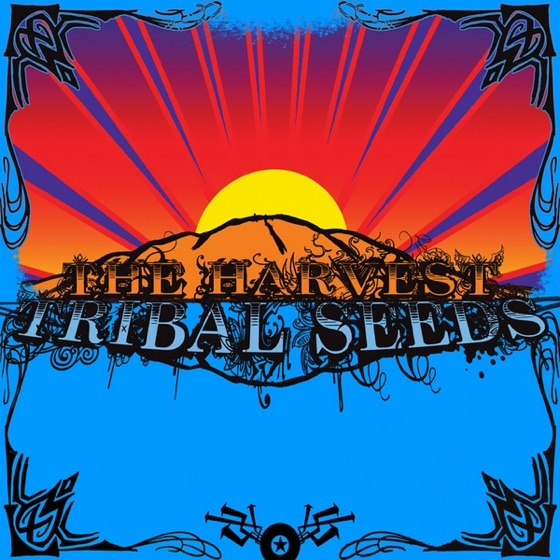 Cover artwork for Herby