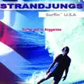 SURFEN AUFM BAGGERSEE