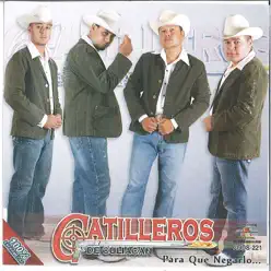 El Señor De La Sierra - Gatilleros De Culiacán El Señor De La Sierra - Gatilleros De Culiacán