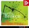 Sweetly Broken - Jeremy Riddle lyrics