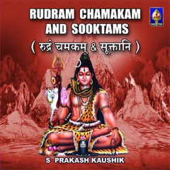 Rudram Chamakam And Sooktams
