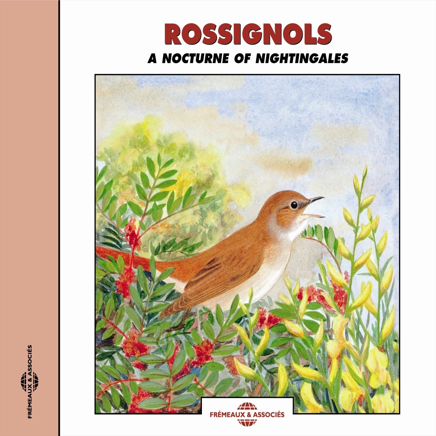 Rossignols - A Nocturne of Nightingales
