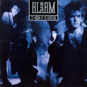 The Alarm - Rain in the Summertime