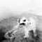 Treat Me Like Your Mother (Diplo Remix) - The Dead Weather lyrics