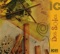 B.M.C Colony - Dos Soles lyrics