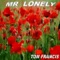 Mr Lonely - Tom Francis lyrics