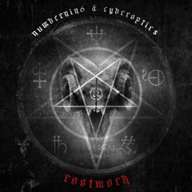 Rootwork Numbernin6 & Cyberoptics