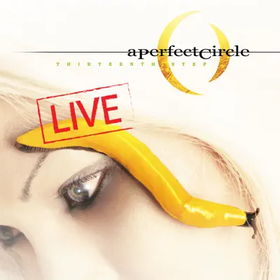 Thirteenth Step - Live - A Perfect Circle