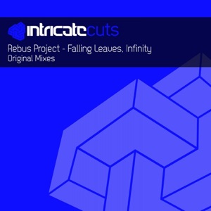 Falling Leaves / Infinity - Single