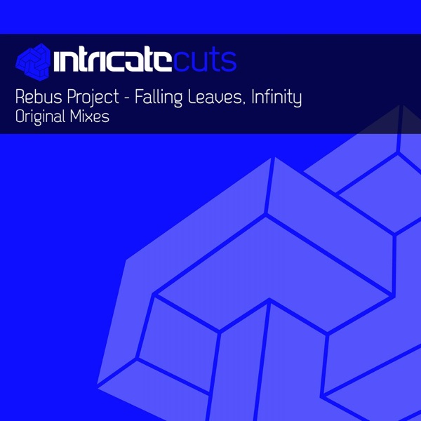 Falling Leaves / Infinity - Single