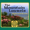 The Mountain Laurels - Ash Grove / Simple Gifts