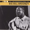 An Introduction to Big Bill Broonzy artwork