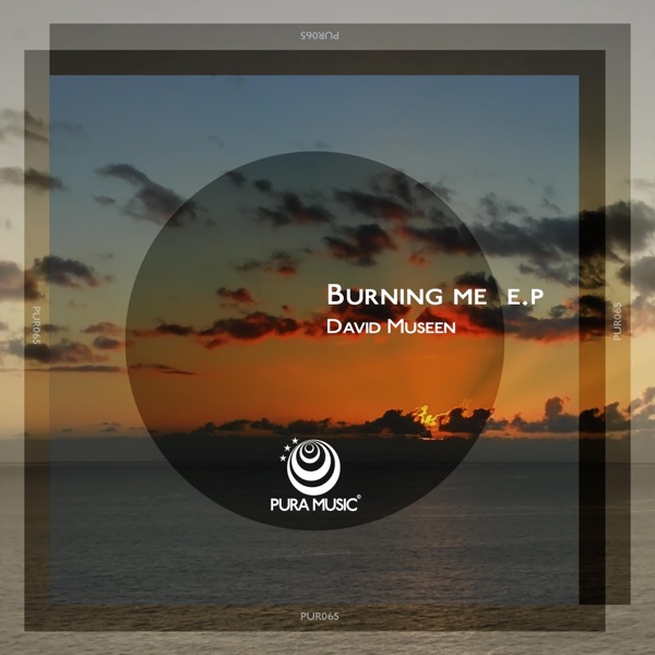 Burning Me - Single