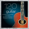 120 Great Acoustic Guitar Songs - Various Artists