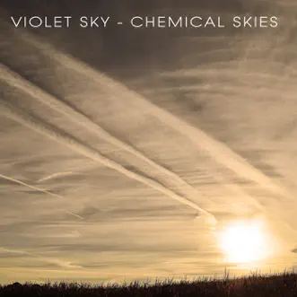 Chemical Skies by Violet Sky song reviws