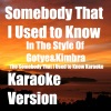 The Somebody That I Used to Know Karaoke