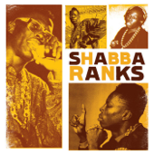 Telephone Love (Deh Pon Mi Mind) [feat. J.C. Lodge] - Shabba Ranks