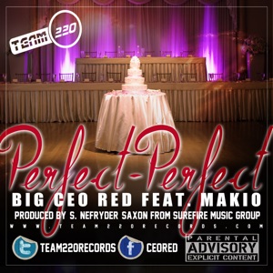 Perfect, Perfect (feat. Makio) - Single