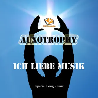 Ich Liebe Musik - Single by Auxotrophy album reviews, ratings, credits