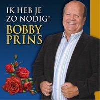 Bobby Prins - Hou Me Vast
