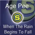 WHEN THE RAIN BEGINS TO FALL