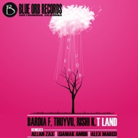 Bardia F, Thuyvu & Rishi K. - T Land (Allan Zax Remix)