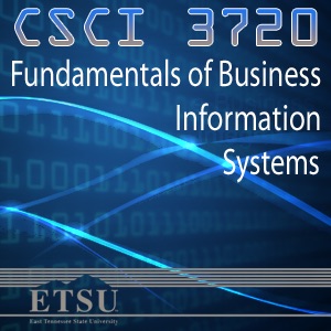 Fundamentals of Business Information Systems - Spring 2012 cover