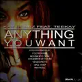 Anything You Want (feat. Teekay) (Oral Deep Dub)