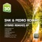 Hybrid - S'n'K & Pedro Romao lyrics