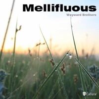 Mellifluous - Single - Wayward Brothers
