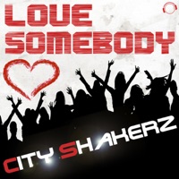 Love Somebody (Pit Bailay Vs. City Shakerz Club Mix)