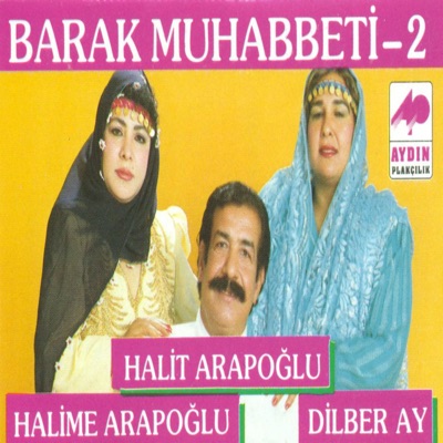 hulya avsar pirno