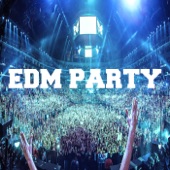 Edm Party (Dj Continuous Mix) artwork