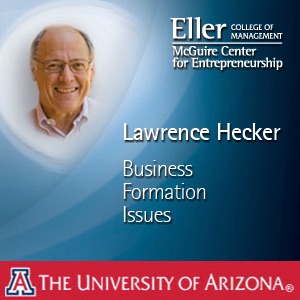 Business Formation Issues cover