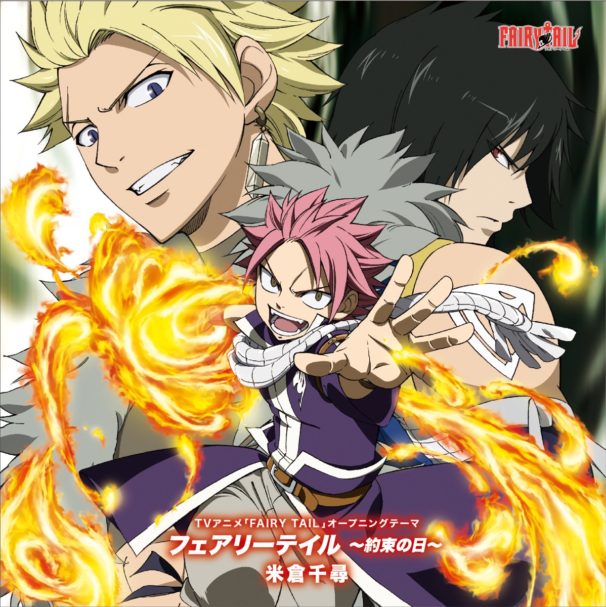 Animated CD Anime 「 FAIRY TAIL 」 Opening and Ending Theme Songs Vol. 2  [Limited Edition with DVD], Music software