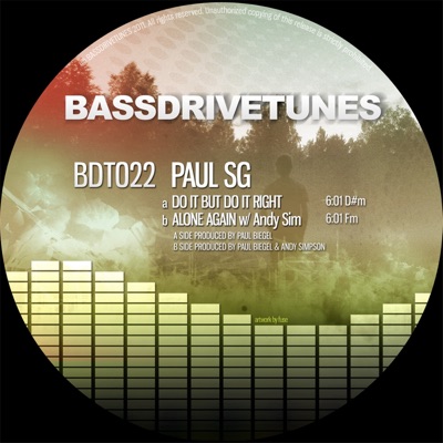 Do It But Do It Right - Single