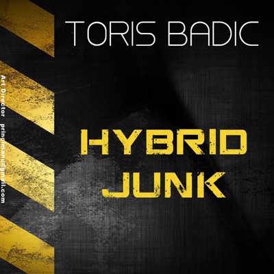Hybrid Junk - Single