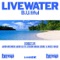 B.U.tiful (Audio Killers Remix) - Livewater lyrics