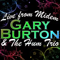 African Flower — Gary Burton